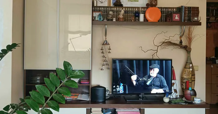 Hey Pandas, Where Is The Best Spot In Your House?