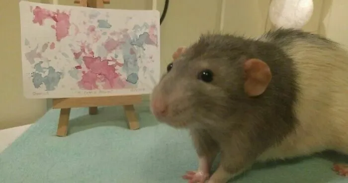 Hey Pandas, Post A Photo Of The Art And The Artist