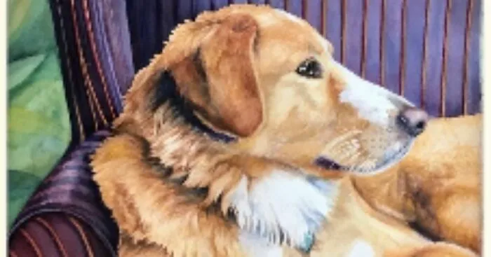 Hey Pandas, Show Me Your Pet Portraits