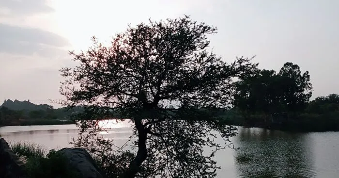 My Last Week Tour At Misriot Dam