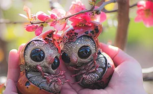 19 Unique Forest Creatures That We Created Based On Our Dreams