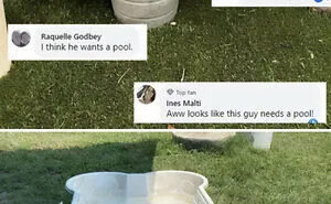 Hilarious Moments When An Attempt Was Made, But It Didn't Go As Expected (50 New Pics)
