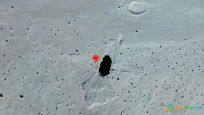 Pájaro en la arena. Xinjiang, China