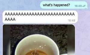 50 People Who Had Such A Bad Time, They Just Had To Share Their Pain With The World (New Pics)