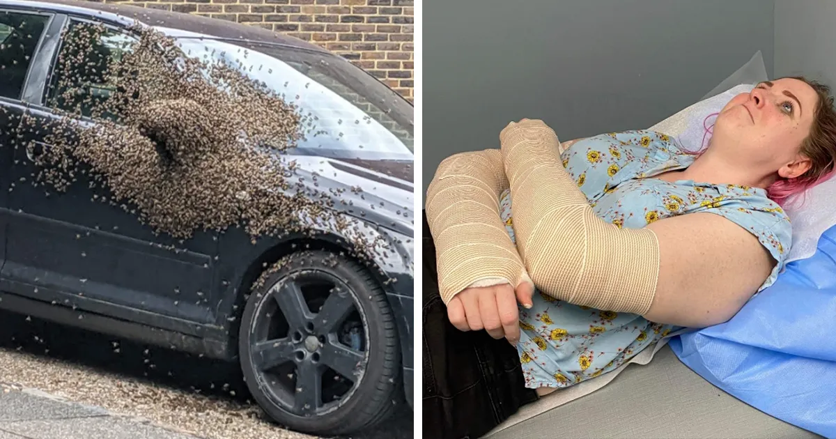 40 Personas que no tuvieron más remedio que fotografiar sus miserables fracasos (nuevas fotos)