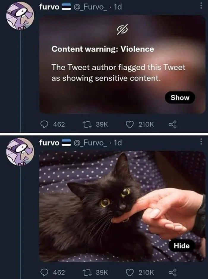 50 Perfectly Accurate Pics And Memes That Capture What It's Like Living With Cats