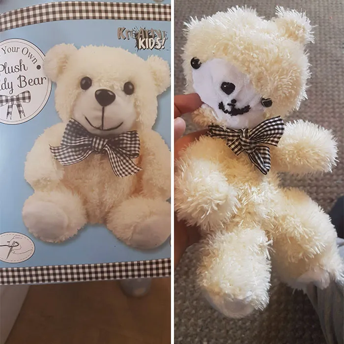 My Mum Tried To Make My Sister A Teddy Bear. I Present Quasimodo In Bear Form
