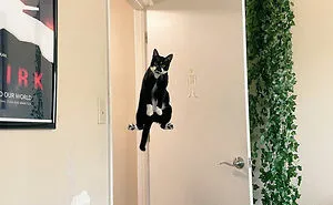 50 Confusing And Funny Photos Without Any Context, As Shared By This Instagram Page