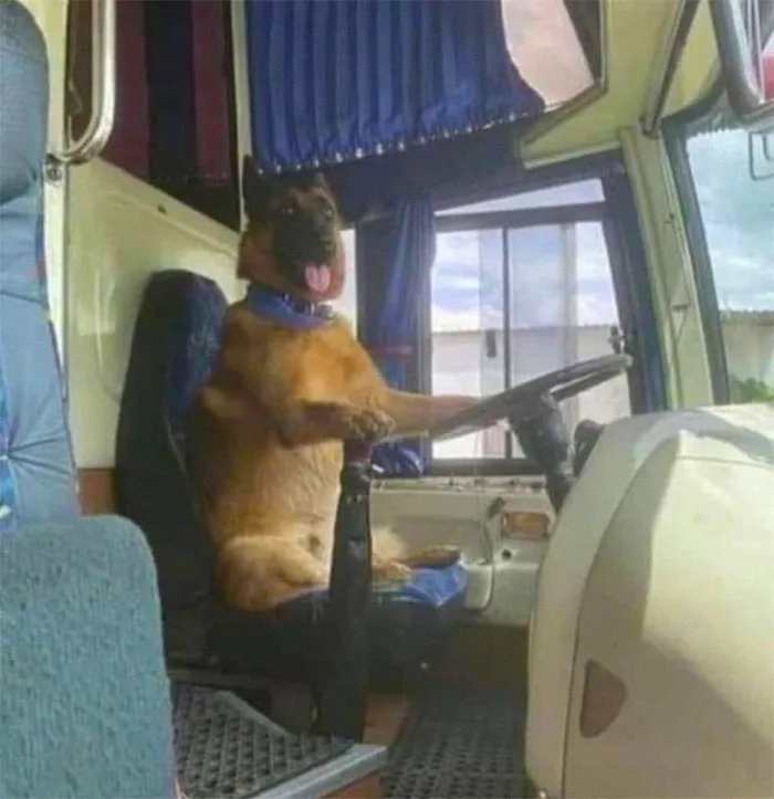 50 Confusing And Funny Photos Without Any Context, As Shared By This Instagram Page