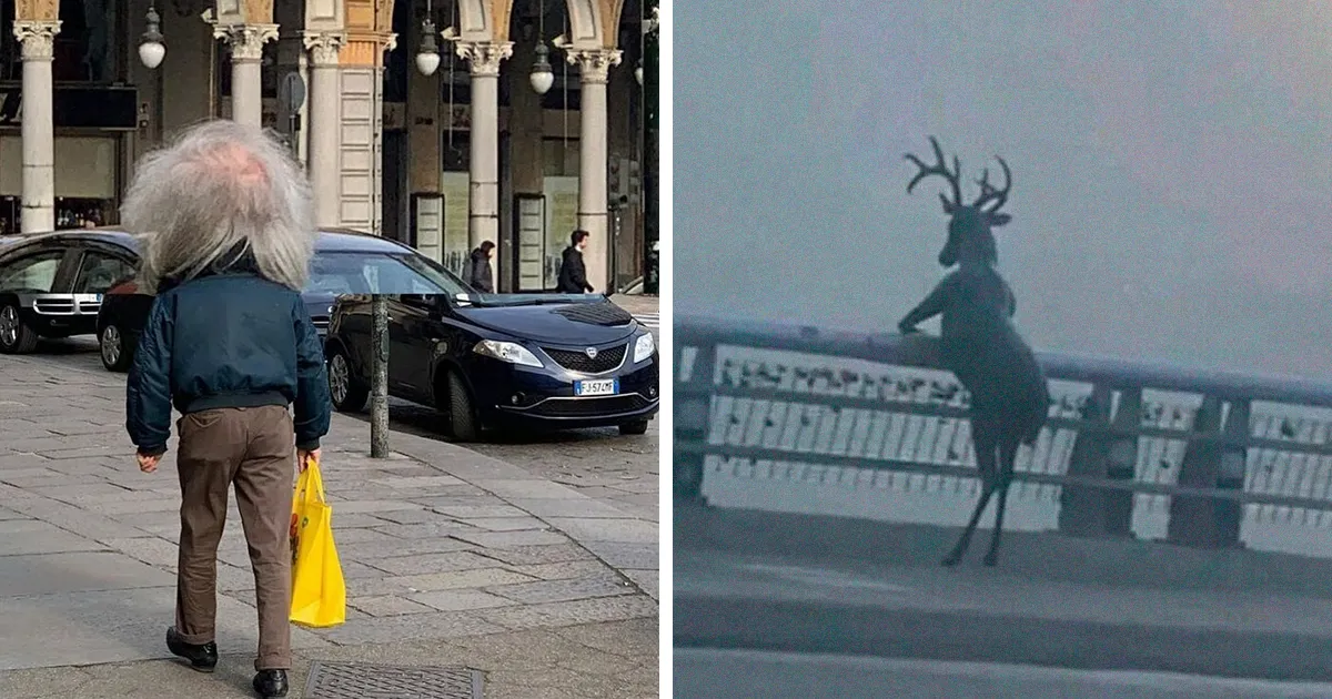46 Imágenes tan divertidas como confusas sin contexto alguno, compartidas en esta cuenta de Instagram