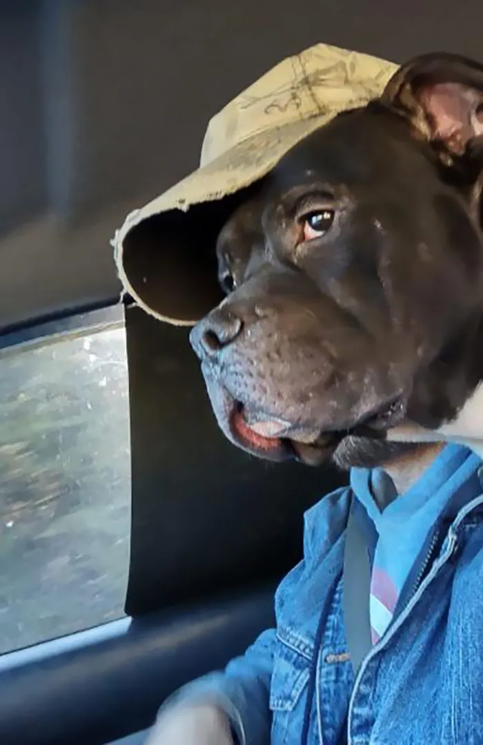 Sólo son mi padre y su perro