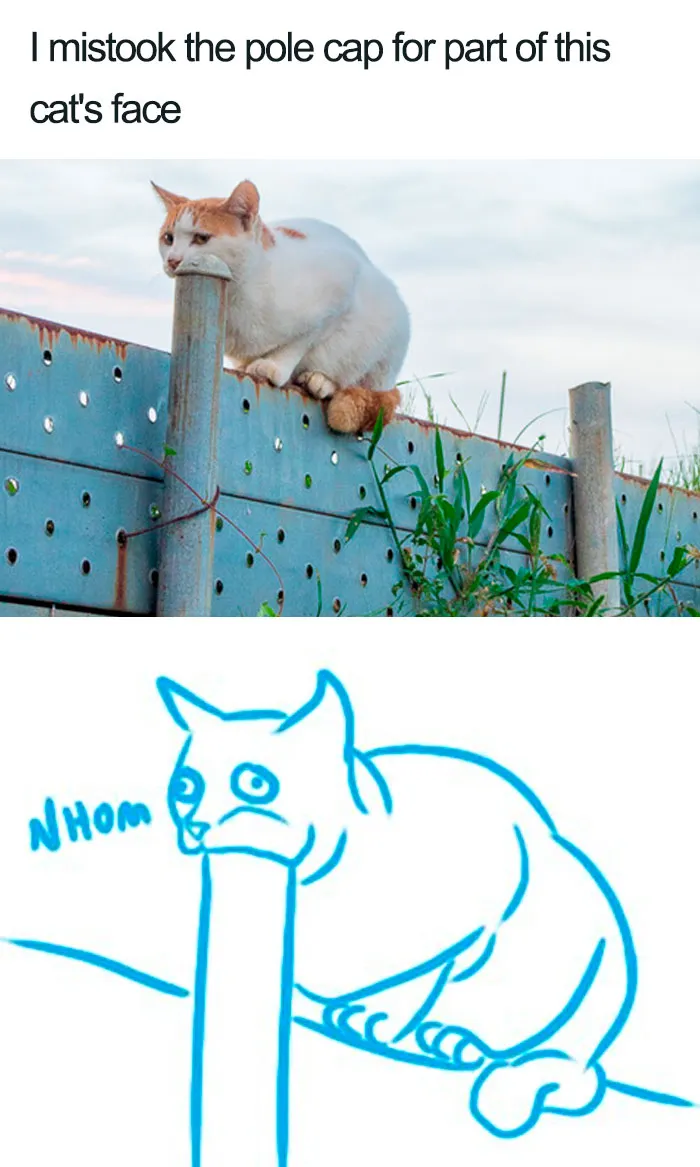 Fooled Me