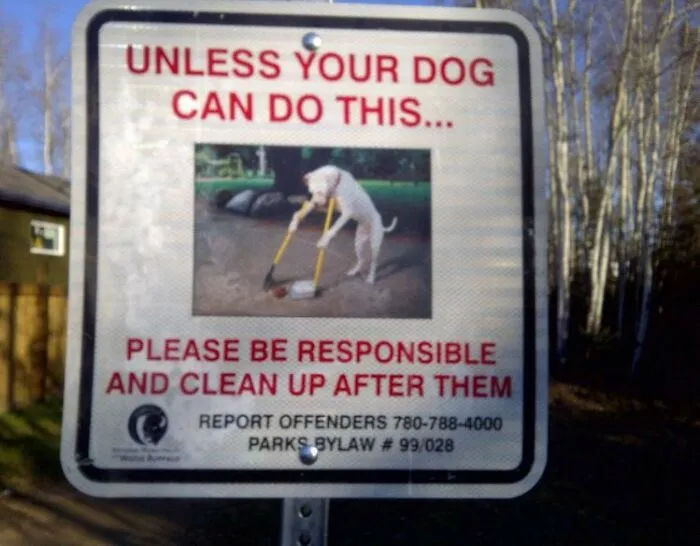 Funny sign urging dog owners to clean up after their pets, featuring a dog holding a shovel and broom.