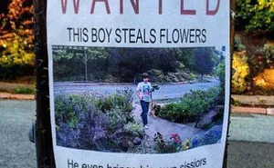 50 Times Signs Were So Funny, This Person Decided To Start A Twitter Thread
