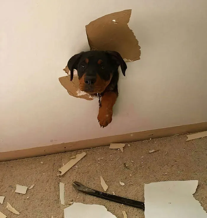 ¿Me has llamado, mami?