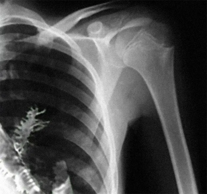 50 Of The Most Disturbing Facts About The World That Might Freak You Out, As Shared By This TikToker