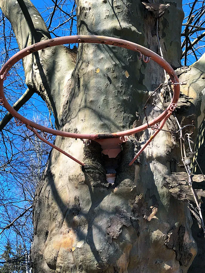 My Basketball Hoop From The 90s