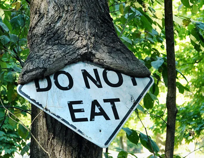 Trees Can't Read