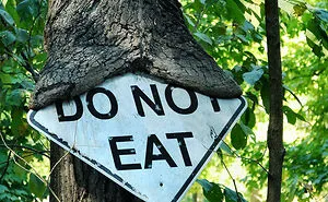 40 Times People Saw Trees 'Devouring' Random Objects And Just Had To Share Proof Online