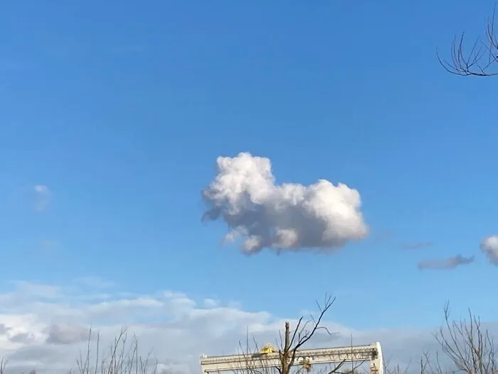 A Doggy