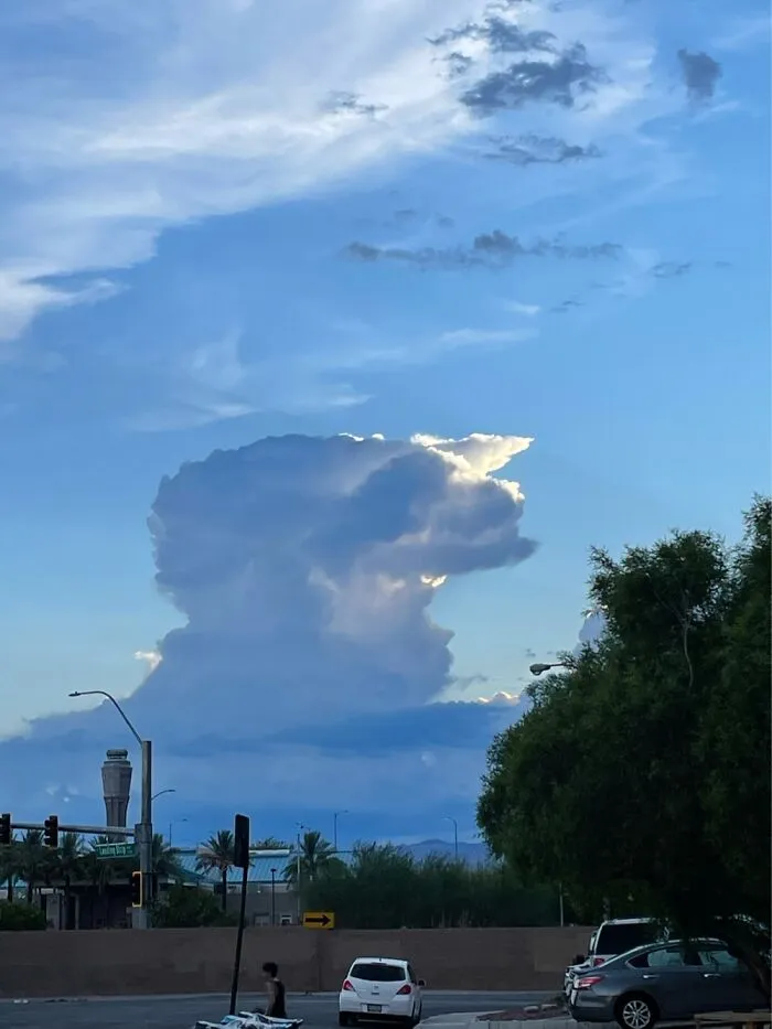 I See A Dog And Below That Is A Face Profile