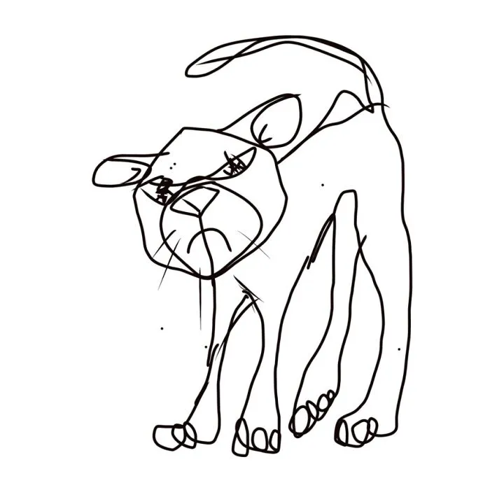 Grumpy Guy