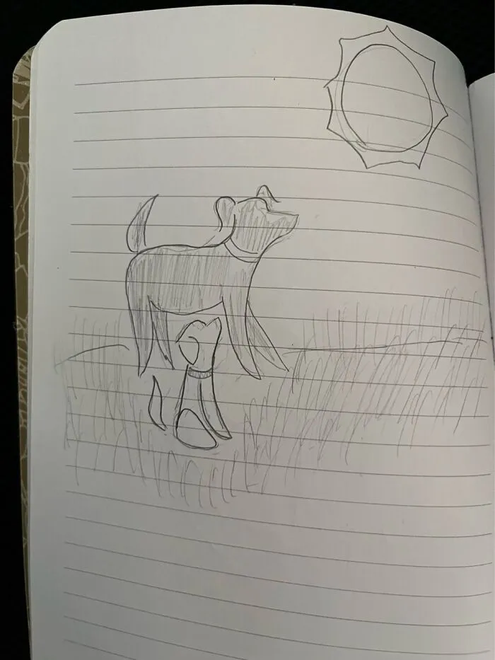 Dogs