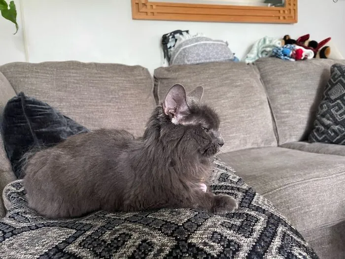 Groovy The Loaf…