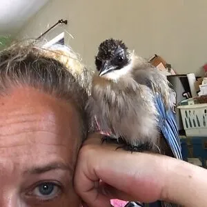 Mother Of Magpies