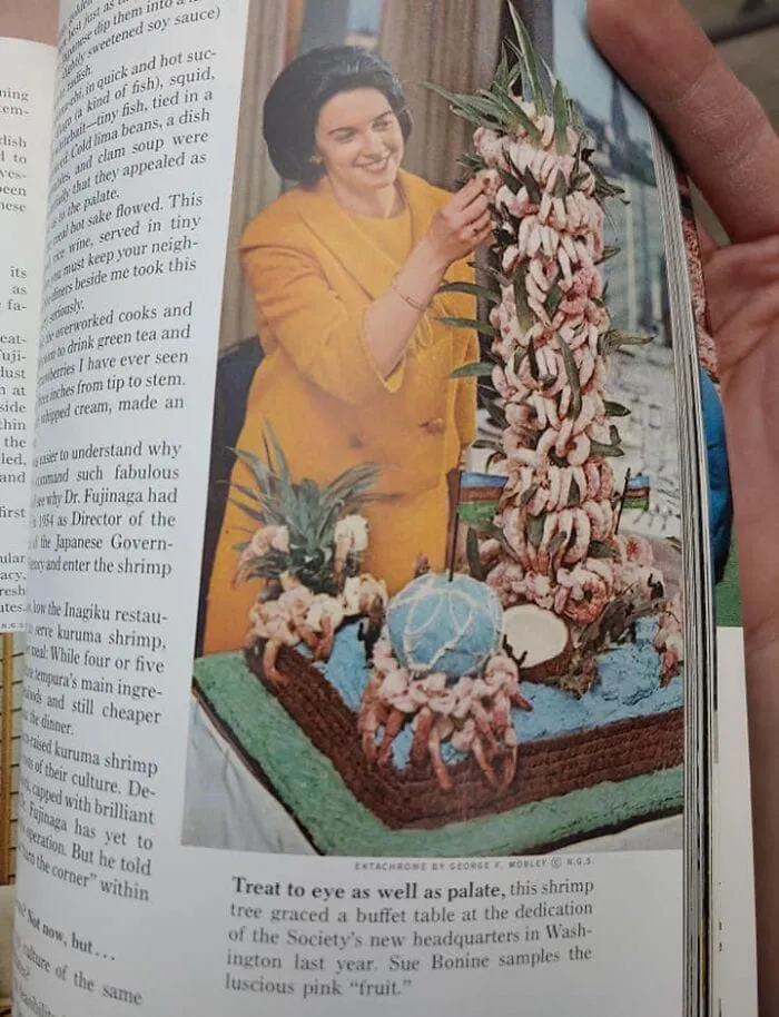 26 Recetas antiguas muy cuestionables que muestran la extravagancia de los platos del pasado