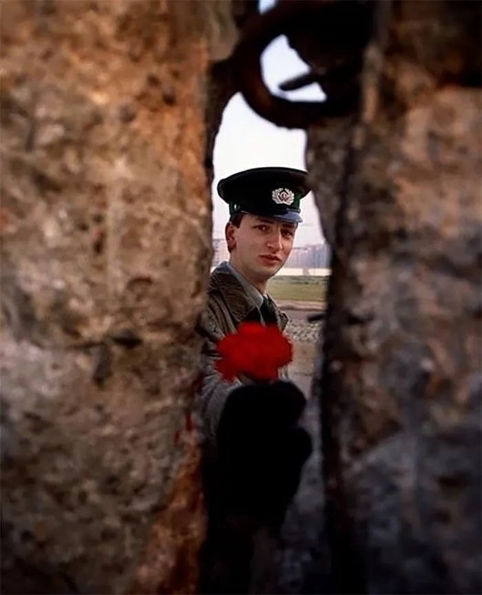 An East German Border Guard Offers A Flower Through A Gap In The Berlin Wall On The Morning It Fell, 1989