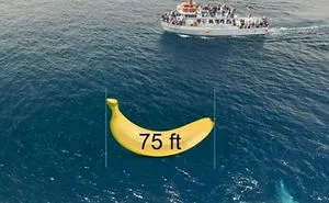 50 Of The Cleverest Science Memes That Perfectly Blend Humor With Knowledge