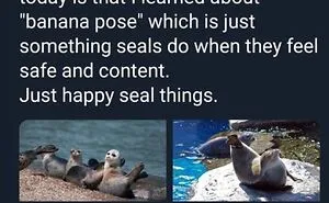 50 Of The Cleverest Science Memes That Perfectly Blend Humor With Knowledge
