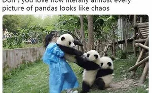 50 Of The Cleverest Science Memes That Perfectly Blend Humor With Knowledge