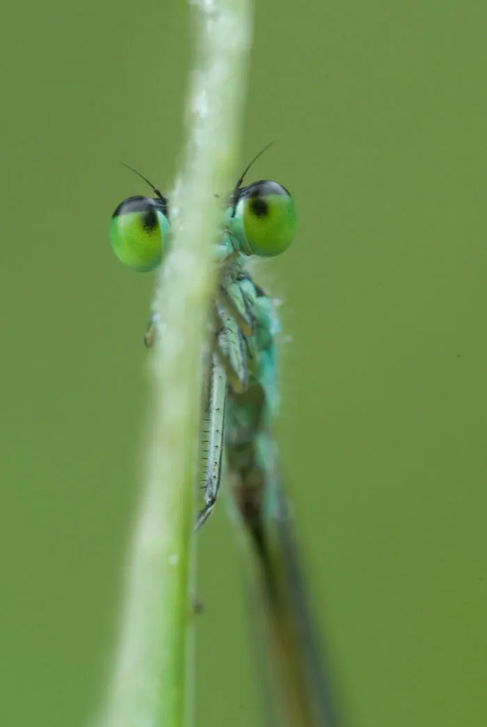 I See You, You See Me?