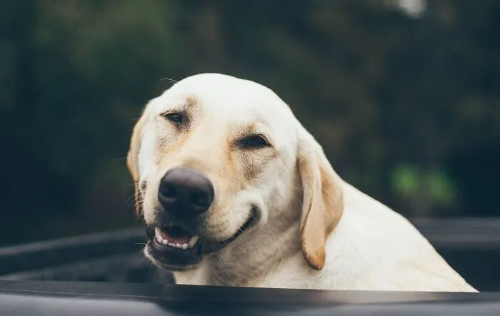 35 Times People Said "Nope, I'm Never Coming To This House Again" When Visiting Someone