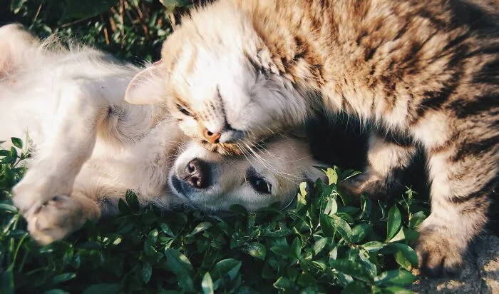 "What Are The Most Positive Things You See About The Modern World?": 35 Replies By The Bored Panda Community