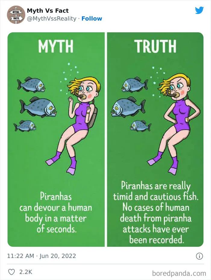 “Boost Your Knowledge”: 50 “Facts” That Are Actually Not True, Shared By This Twitter Account