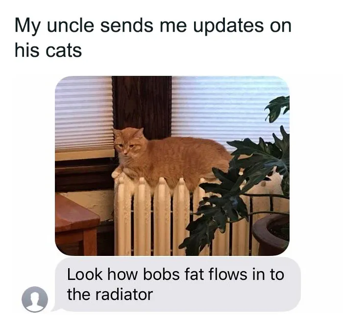 50 Nonsense Pics Of Cats That Weirdly Make Sense, As Shared By This Account Dedicated To ‘Avantgarde Cats’