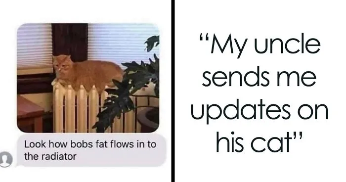 50 Nonsense Pics Of Cats That Weirdly Make Sense, As Shared By This Account Dedicated To ‘Avantgarde Cats’