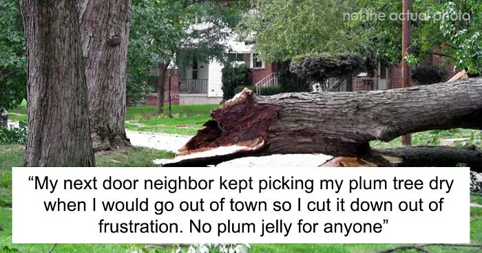 Someone Online Asked “What's Your ‘If I'm Going Down I'm Taking You With Me’ Story?”, And 35 Folks Delivered