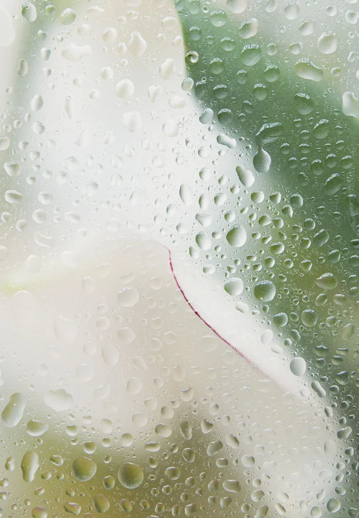30 Things That Are Pretty Much Universally Hated By Most People For No Good Reason