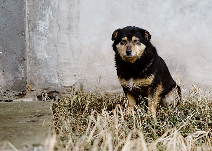 40 People Confess The Darkest Thing They've Ever Done That They Never Regretted