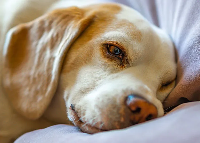 40 People Confess The Darkest Thing They've Ever Done That They Never Regretted