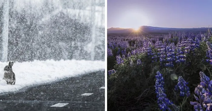 I’ve Circled Iceland 3 Times, Here Are My 28 Favorite Pics That Capture Its Beauty