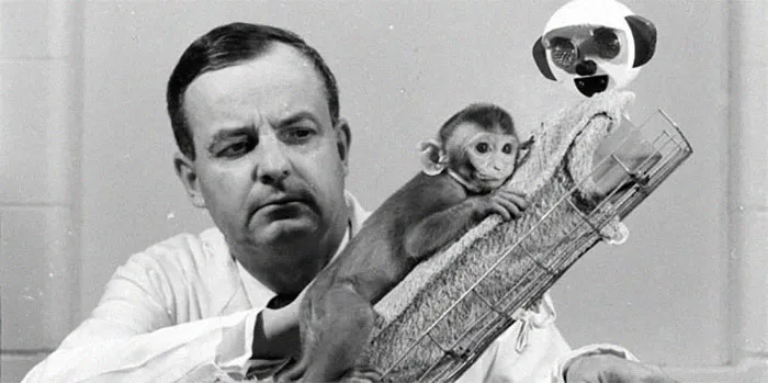 40 Real-Life Heroes Who Lived Long Enough To Turn Into Villains