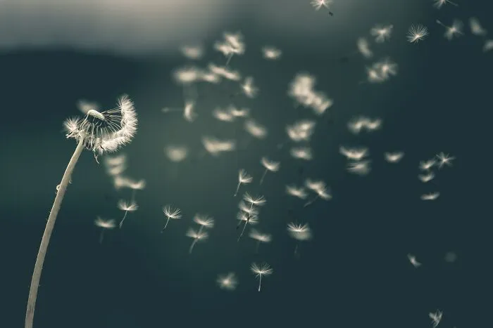 "Tell Us Something Weird A Kid Has Said To You That Made You Think About Life In A Different Way": 30 People Replied
