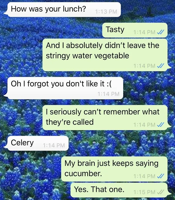 Chat about lunch where someone forgets the word for 'celery' and amusingly calls it 'stringy water vegetable'.