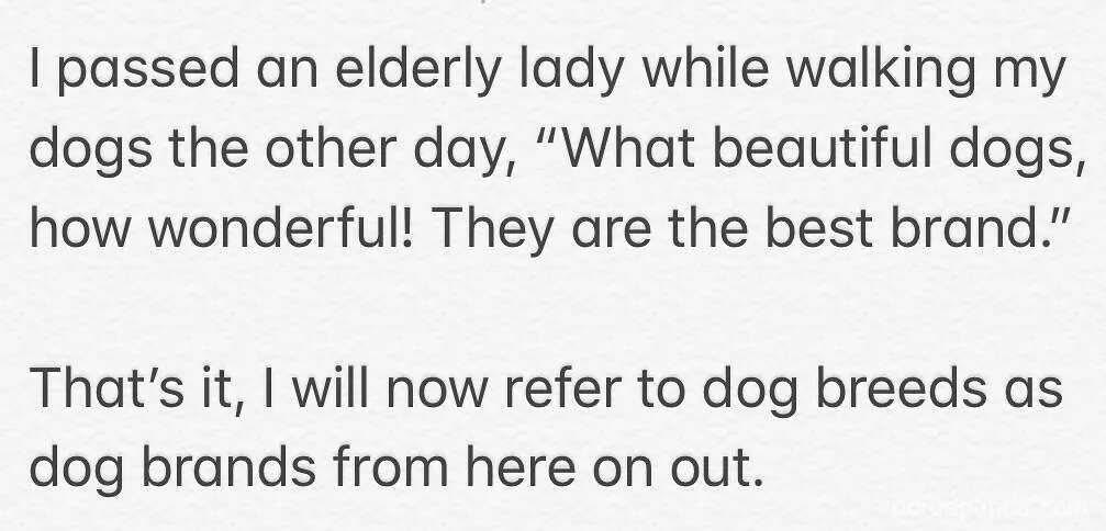 Text about someone humorously calling dog breeds "dog brands."