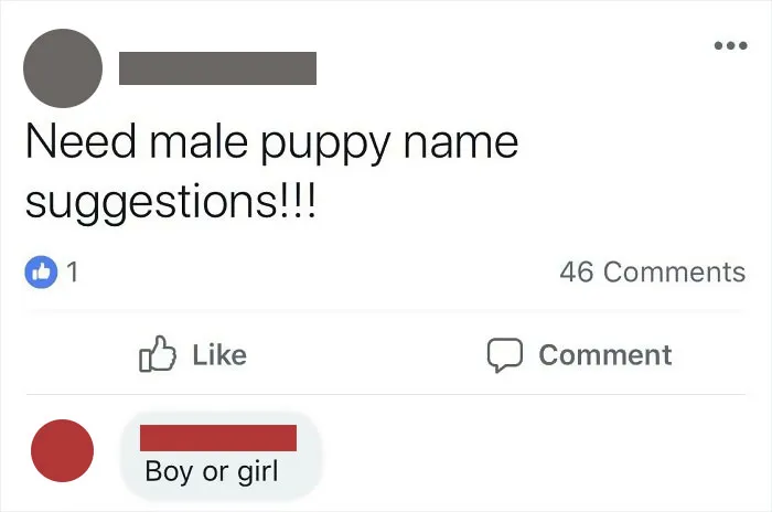 Is A Male A Boy Or A Girl?